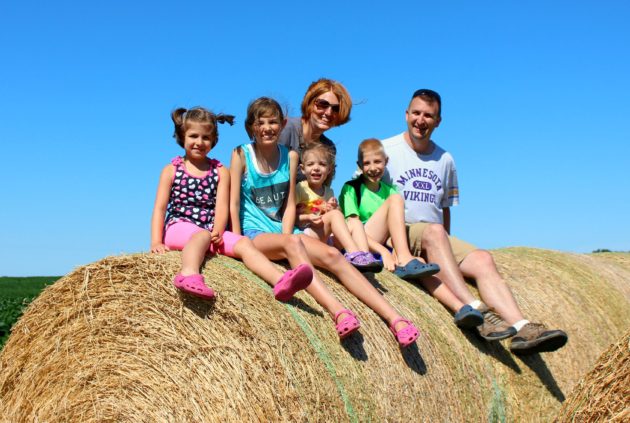 family haystack